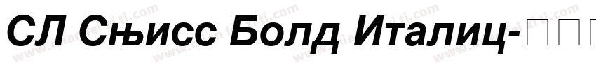 SL Swiss Bold Italic字体转换